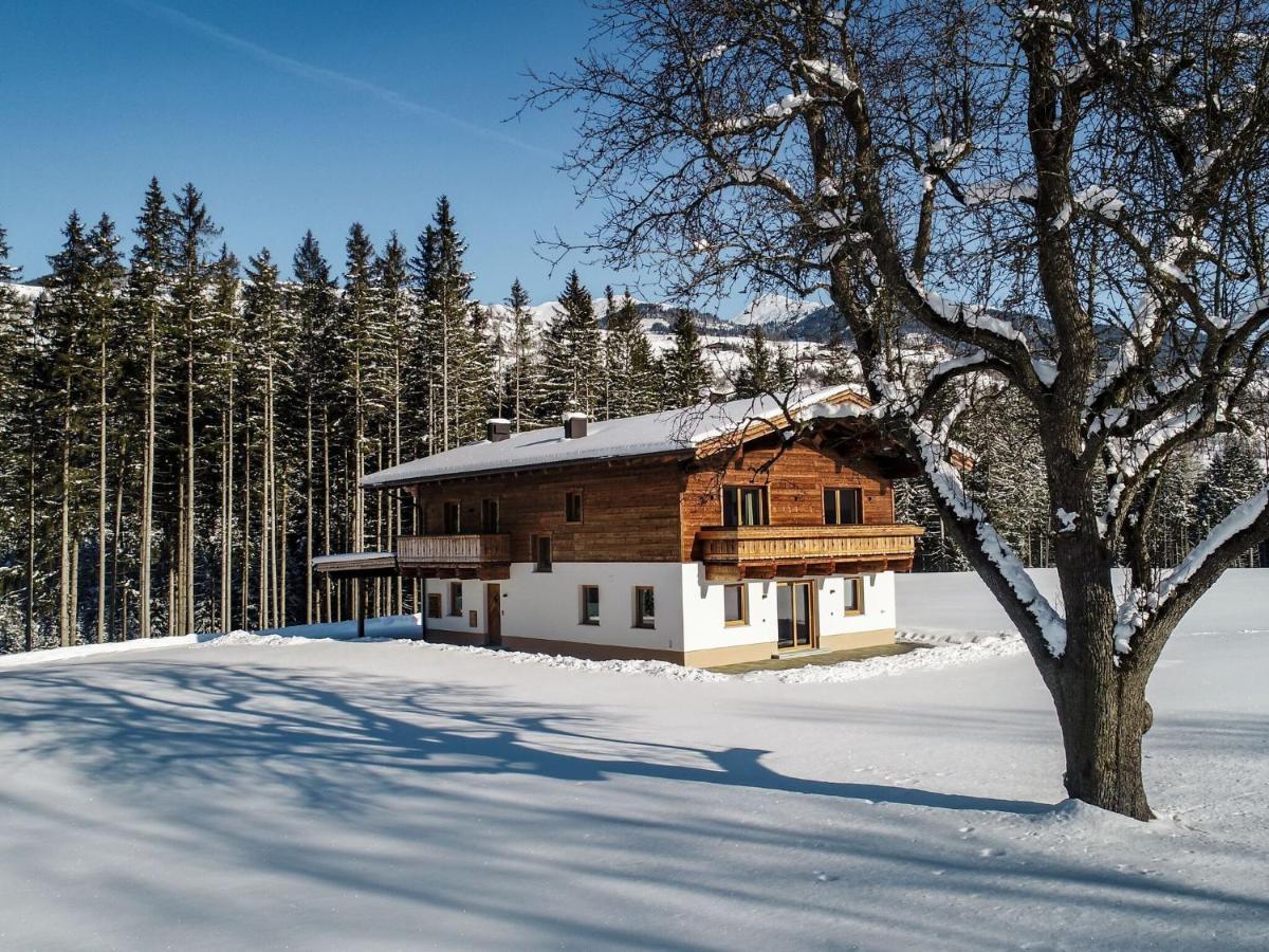 Chalet Freiblick Kleinhaid, Hollersbach Hollersbach im Pinzgau Exterior photo